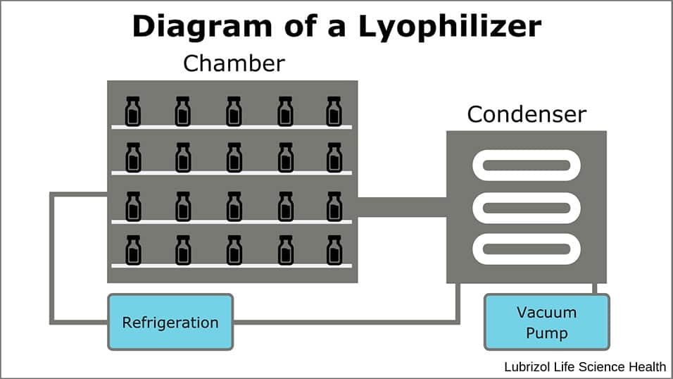 Lyophilizer Diagram via Lubrizol CDMO