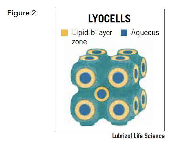 cubic 4 via Lubrizol CDMO