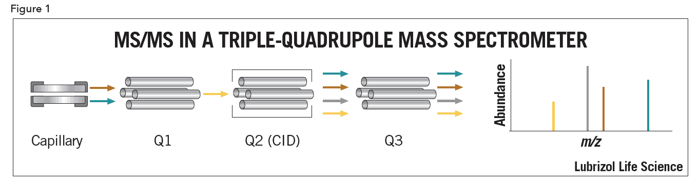 Mass Spectrometry Explained How LC MS MS Works PerkinElmer 43 OFF