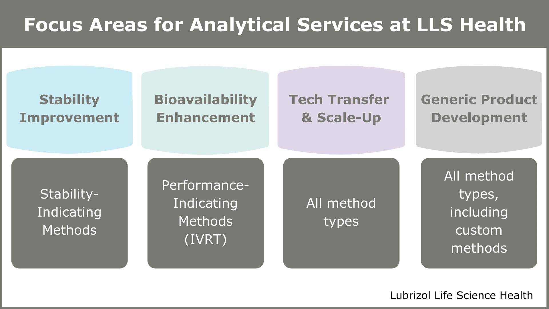 Figure 3 Focus Areas for Analytical Services via Lubrizol CDMO