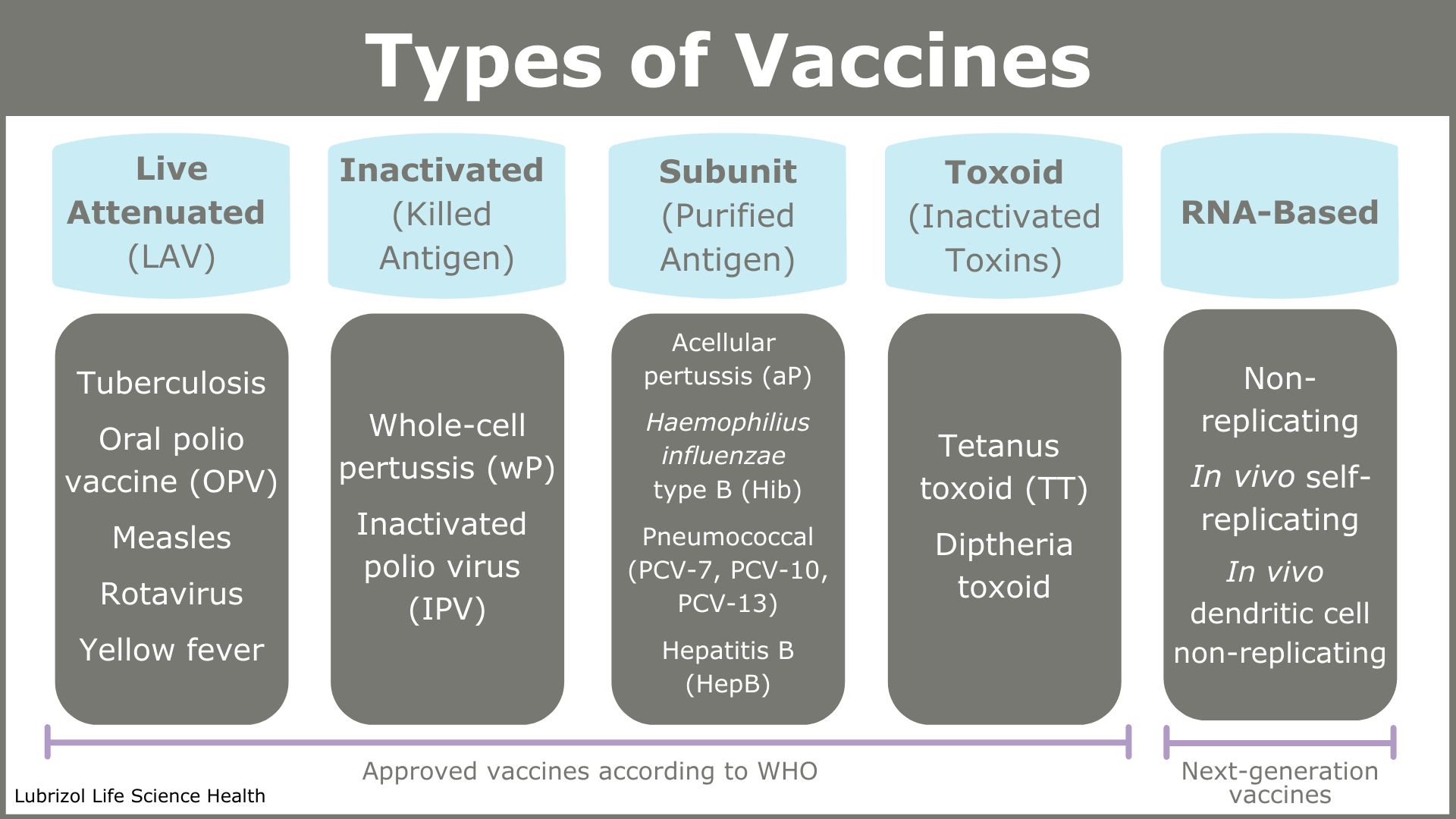 Figure 2 Types of Vaccines via Lubrizol CDMO