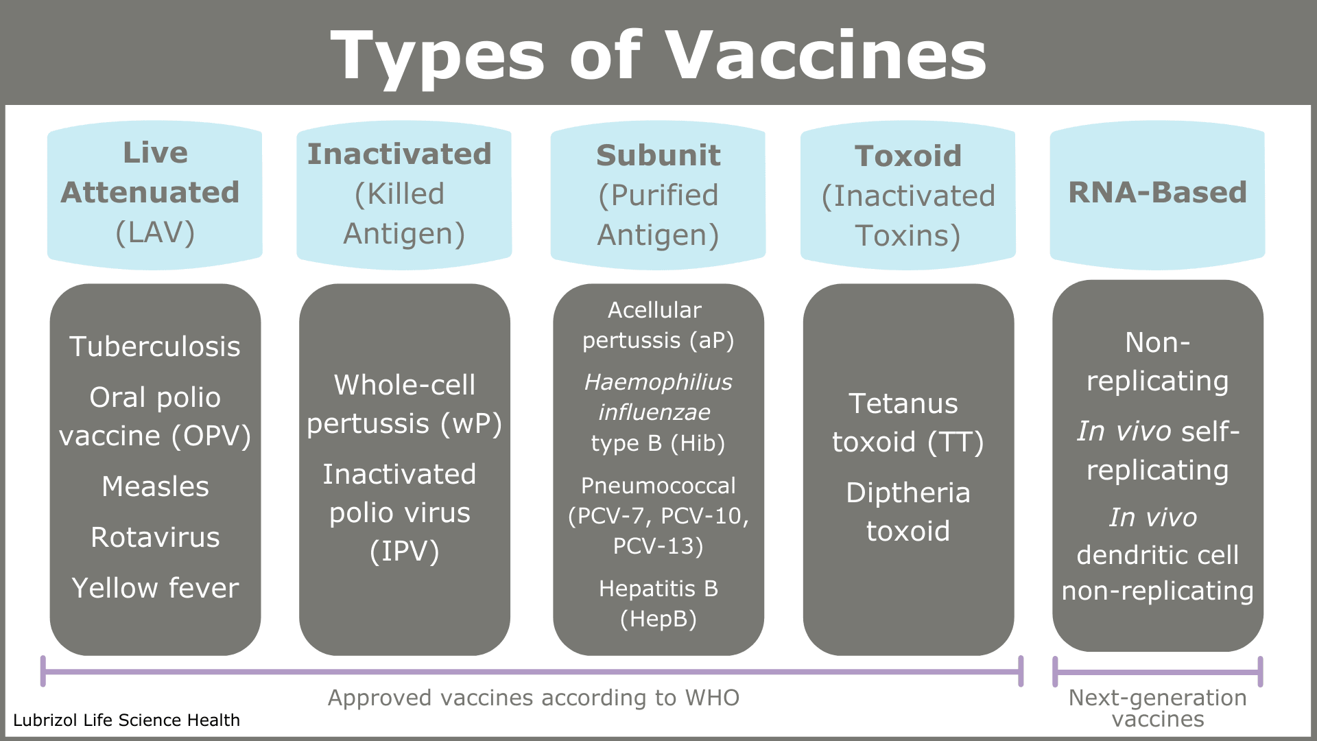 A Guide To Vaccine Development & Immunization LLS Health CDMO