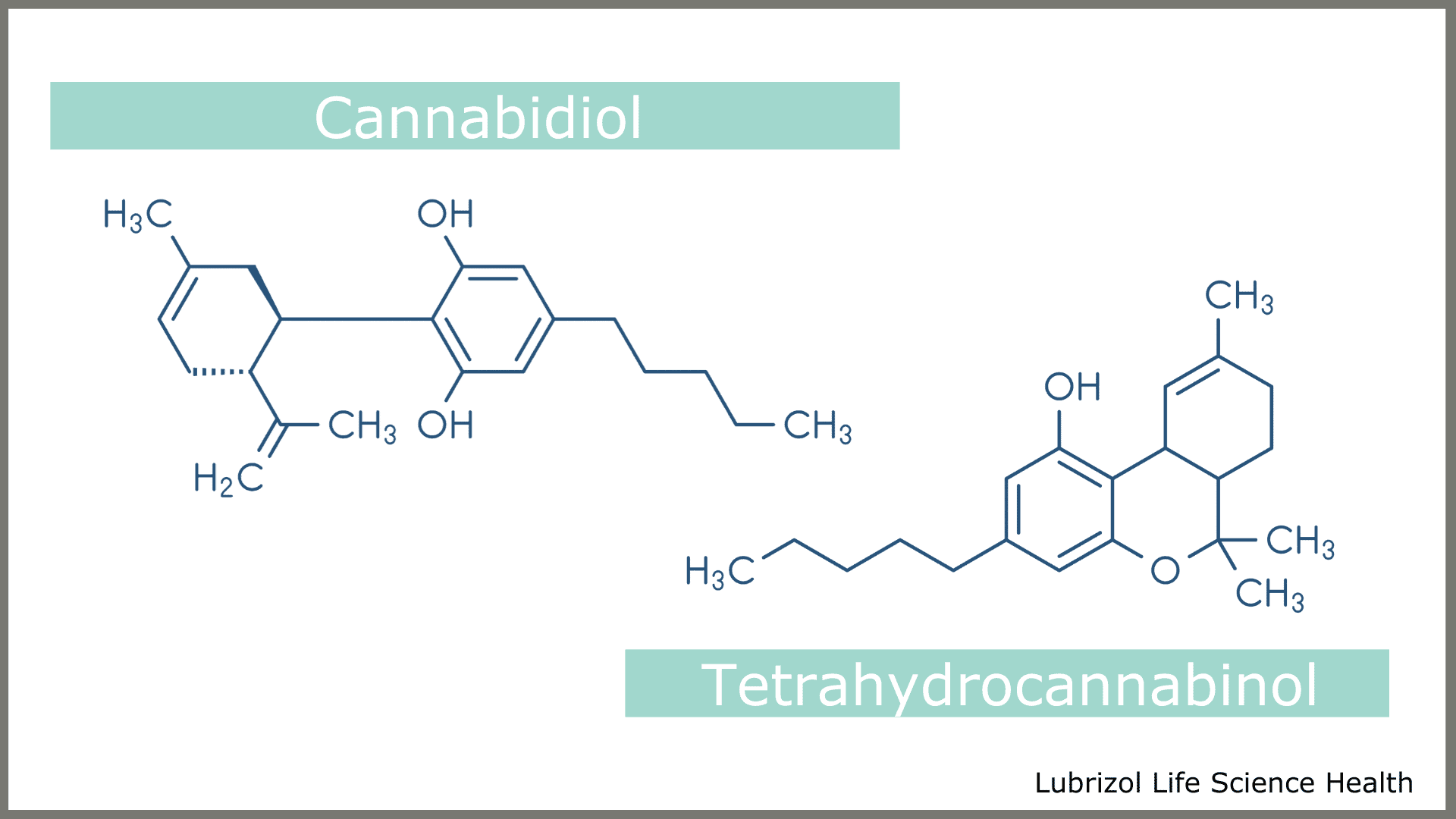 CBD and THC Chemical Structure 1 via Lubrizol CDMO