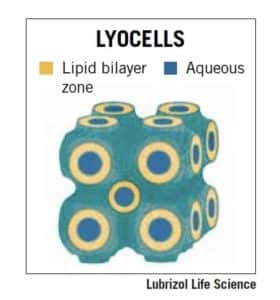 LyoCells via Lubrizol CDMO