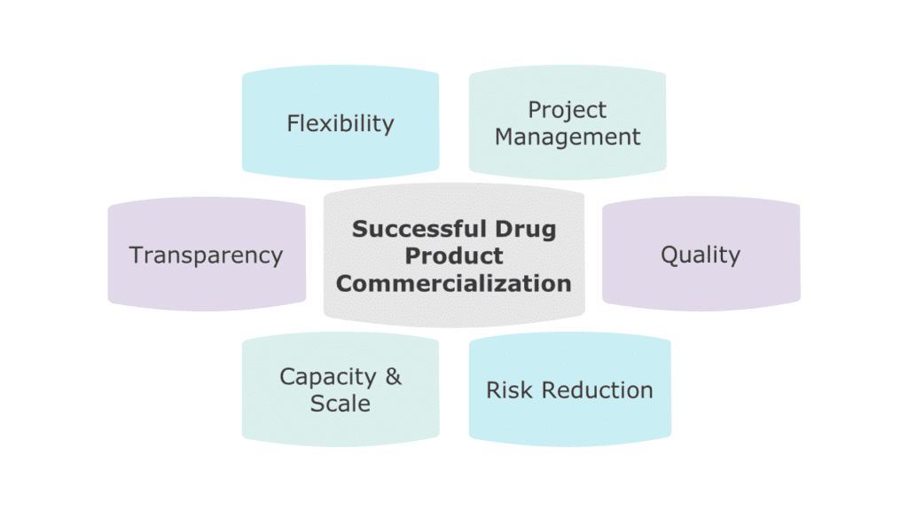 Key Considerations via Lubrizol CDMO
